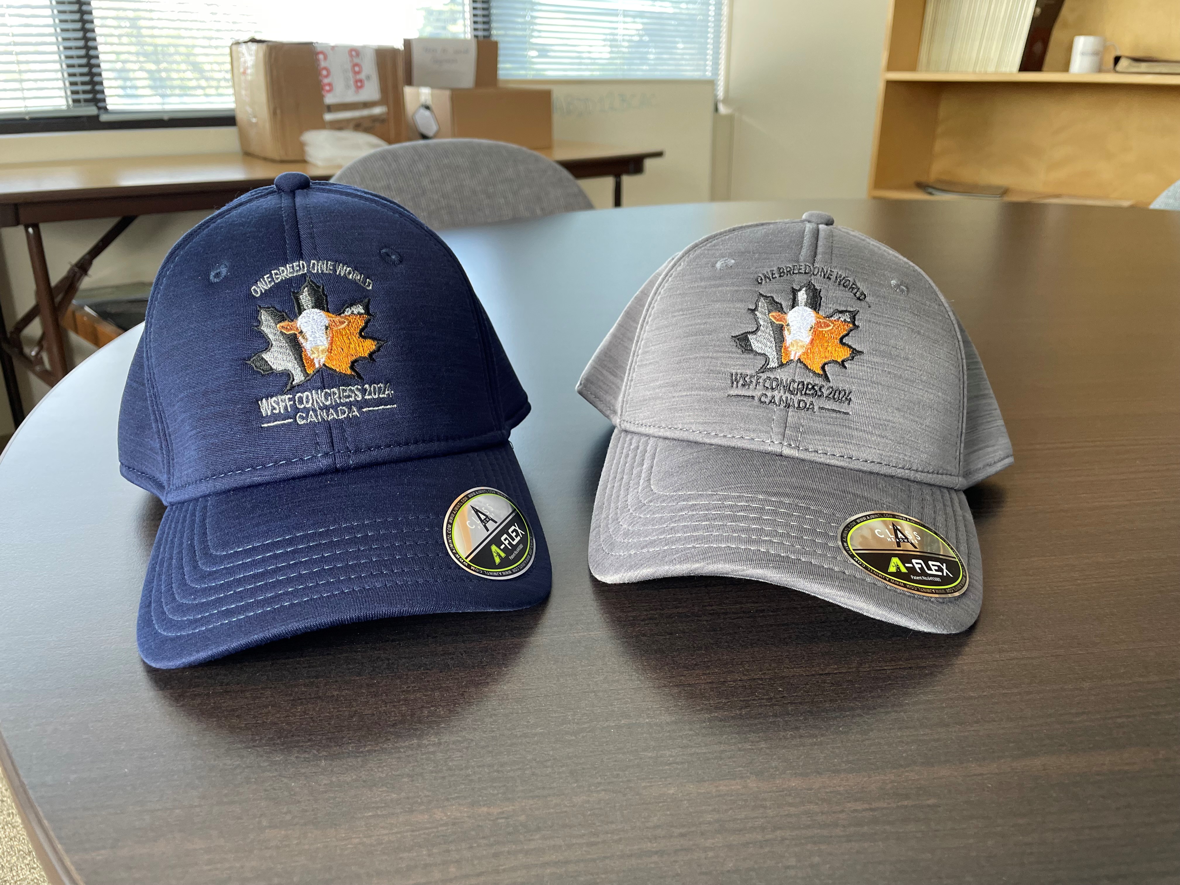 CSA | Merchandise